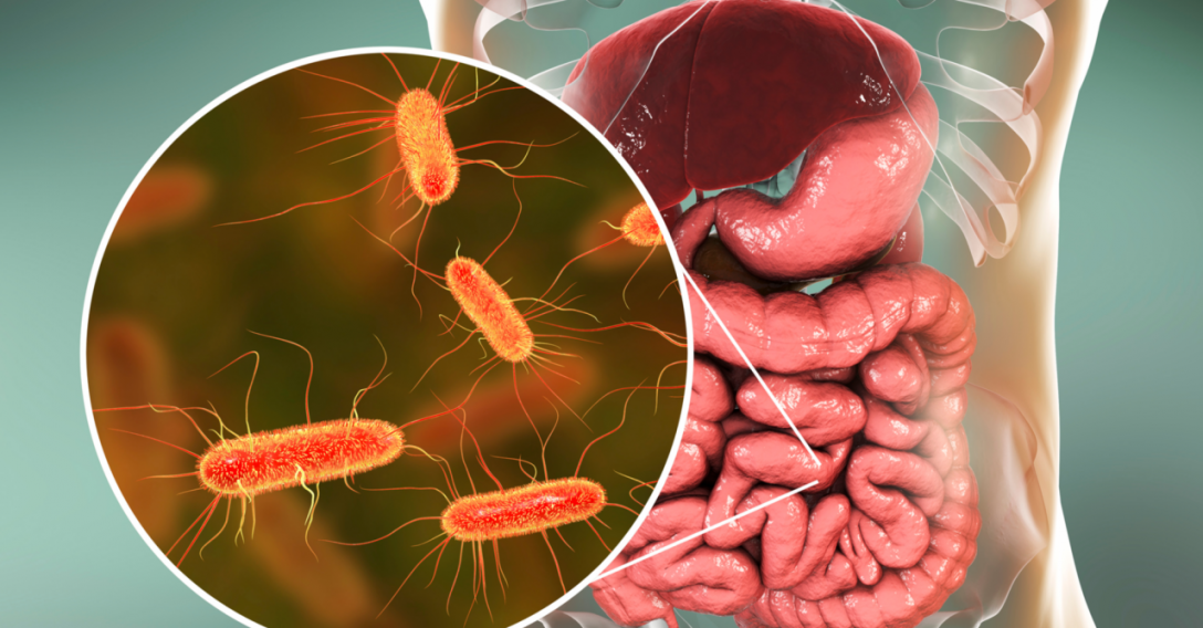 microbioma intestinal