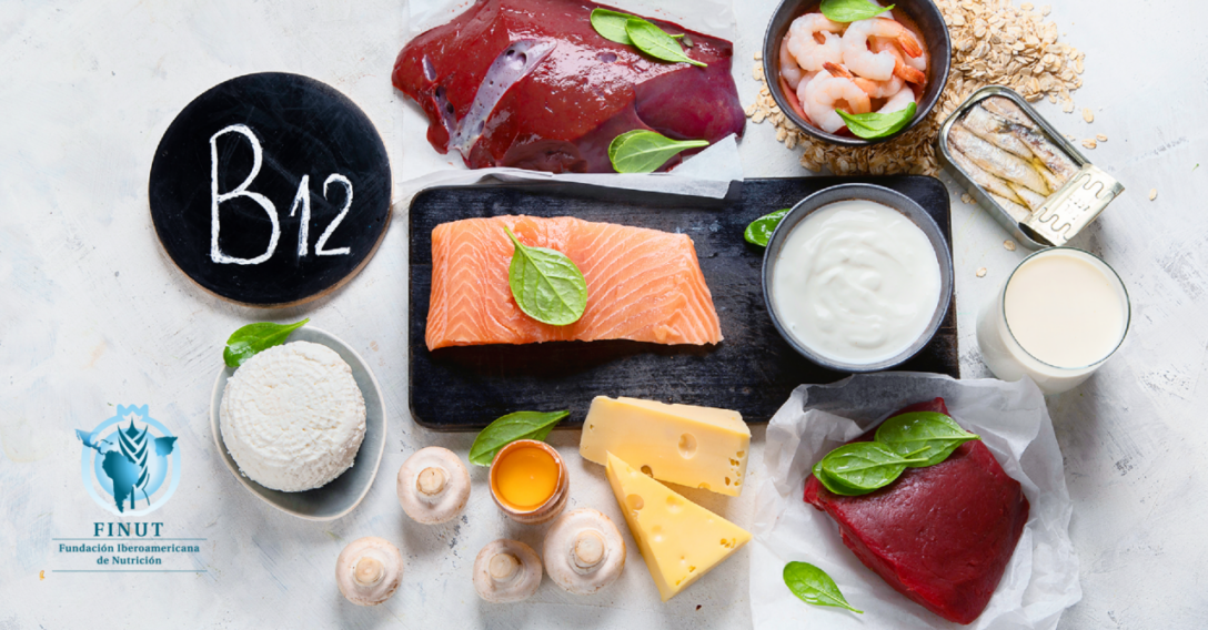 B12-NOTICIA_FINUT_2-02