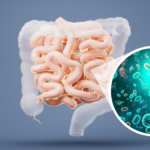 Avances en la investigación sobre la microbiota intestinal y las enfermedades alérgicas infantiles