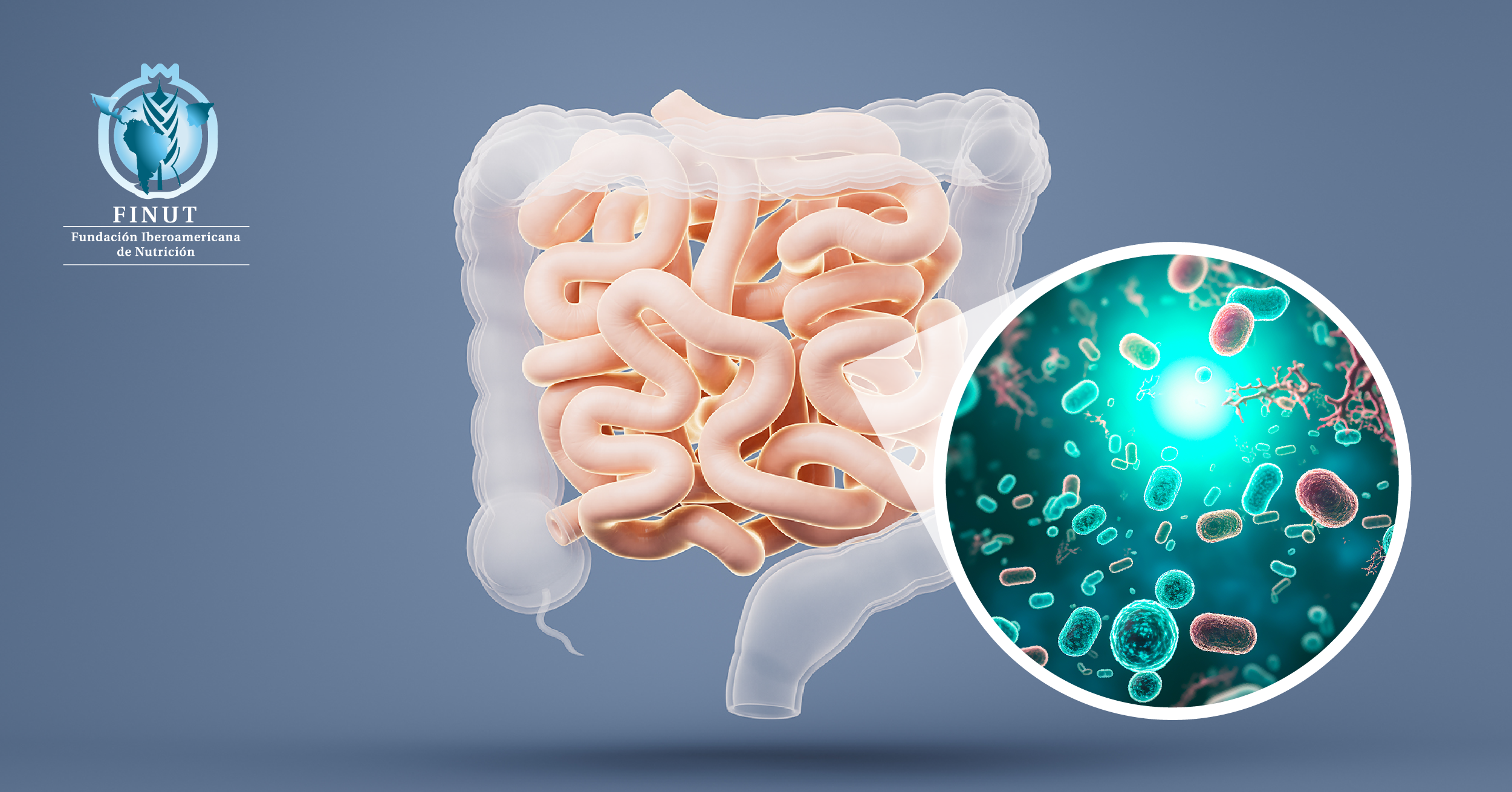 Últimas evidencias de intervenciones clínicas dirigidas al microbioma intestinal en enfermedades cardiometabólicas