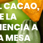 ¿Quieres conocer las principales cuestiones históricas del cacao, su composición nutricional y sus efectos en la salud?