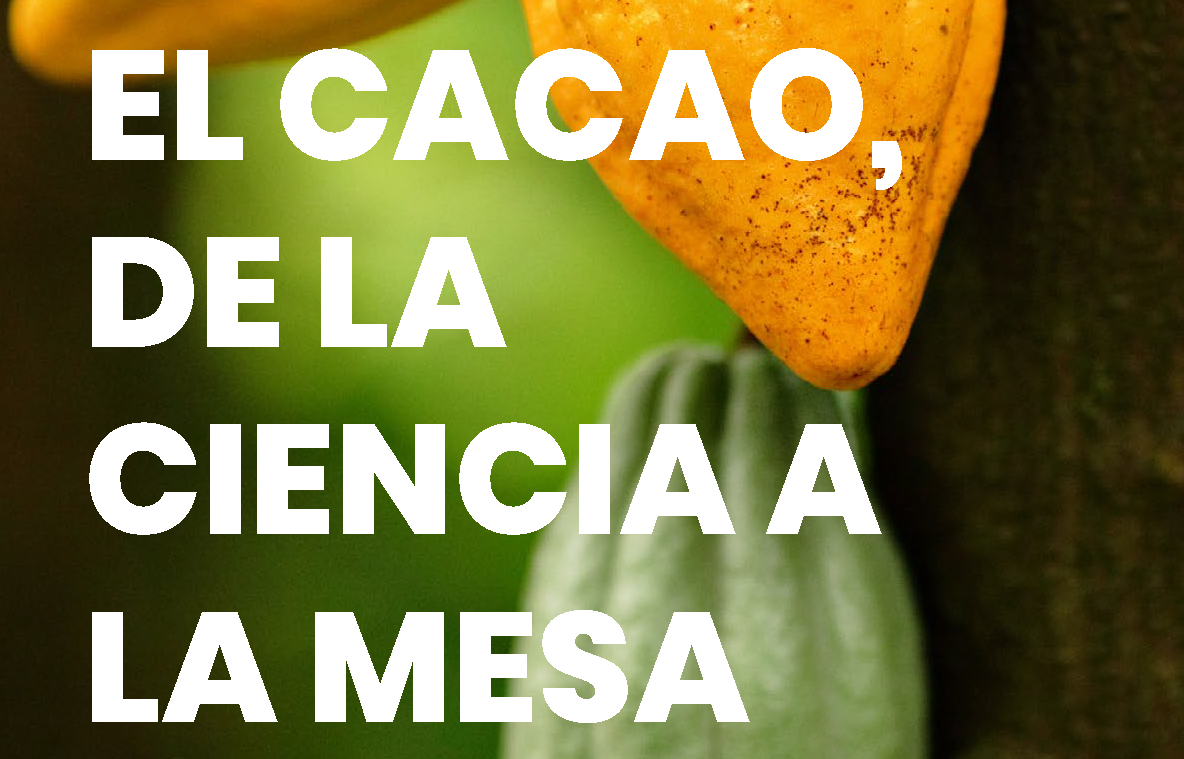 ¿Quieres conocer las principales cuestiones históricas del cacao, su composición nutricional y sus efectos en la salud?